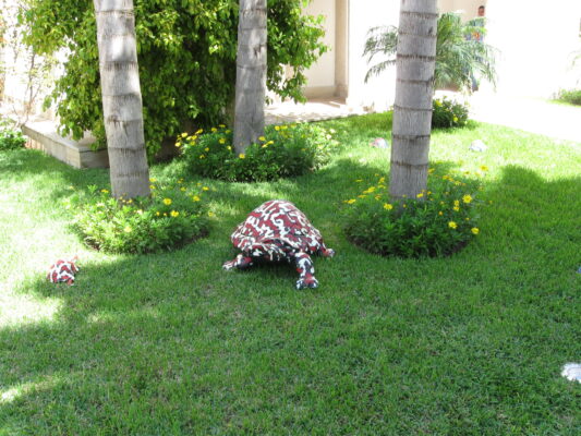 Mostre Karam Cannarella